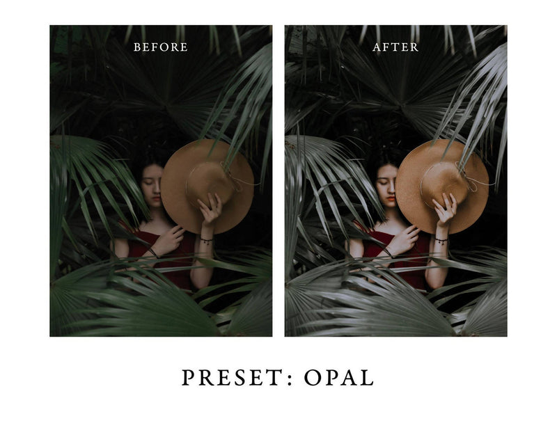 Dark and Moody Lightroom Presets Pack 3 for Desktop & Mobile