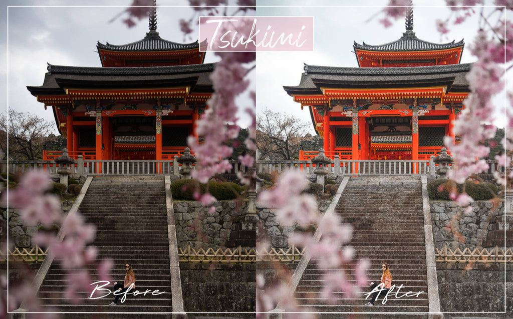 Kyoto Preset Pack