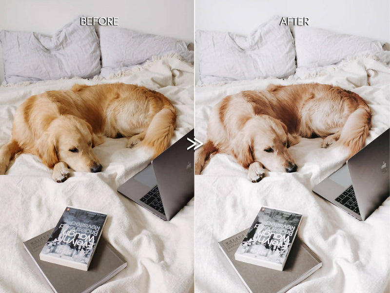 Clean Minimal LUTs for Video Editing, Modern LUTs