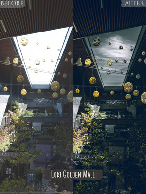 Norse Pack 4 Desktop Lightroom Presets | Mo0n Cake Lightroom Presets mo0n_cake 
