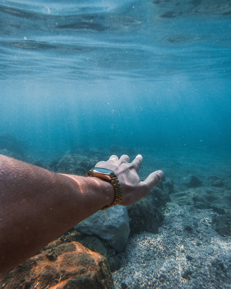 The Ocean Collection