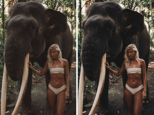 Bali Collection - Mobile & Desktop Lightroom Presets Lightroom Presets MasterPreset 
