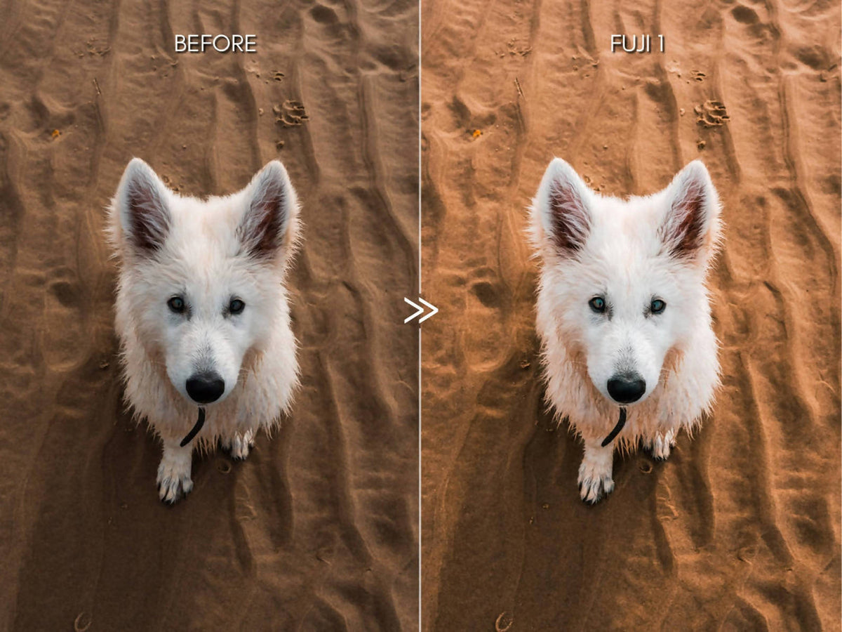 Bright Vibrant FUJIFILM Lightroom Presets Pack for Desktop & Mobile