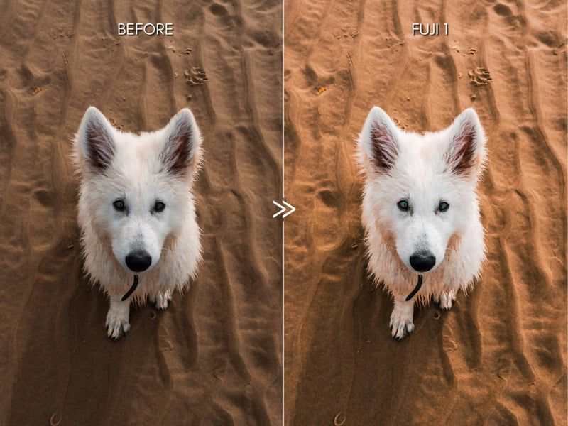 Bright Vibrant FUJIFILM Lightroom Presets Pack for Desktop & Mobile