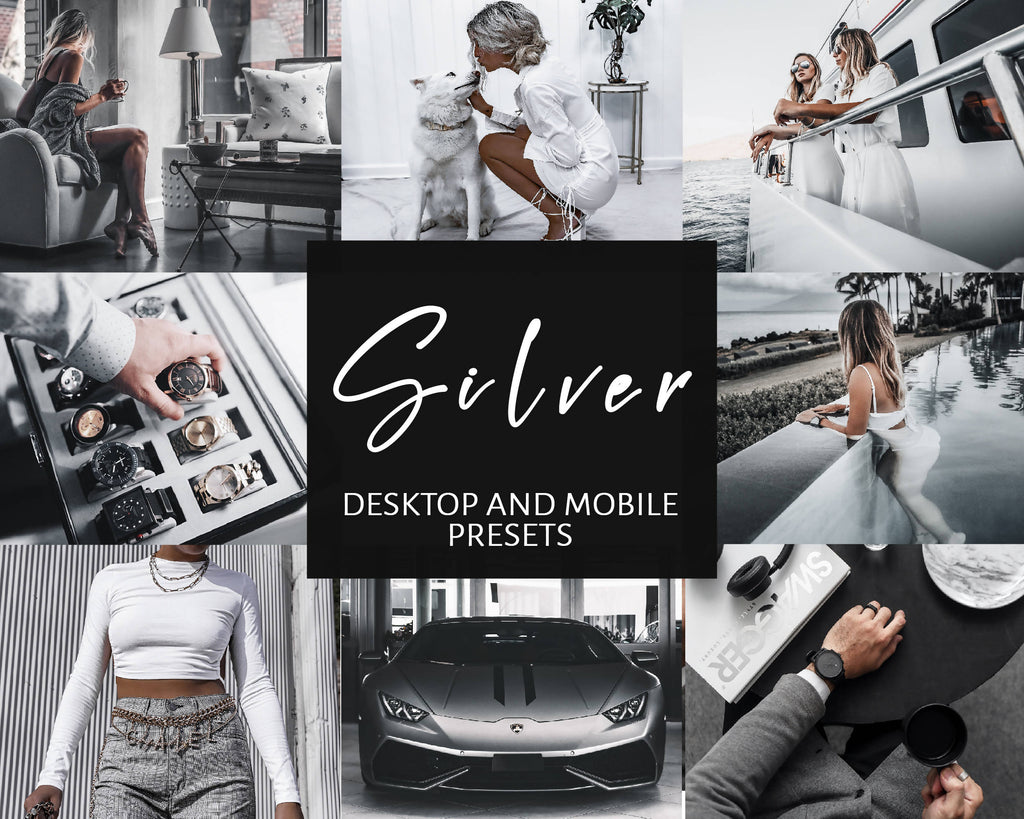 6 Lightroom Presets for Mobile & Desktop, Gray Presets